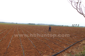 sugarcane drip irrigation system manufacturer China